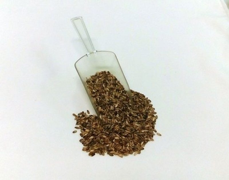 Semi Di Cardo Mariano Biologico - Silybum Marianum Per Coltivazione Erbe Officinali